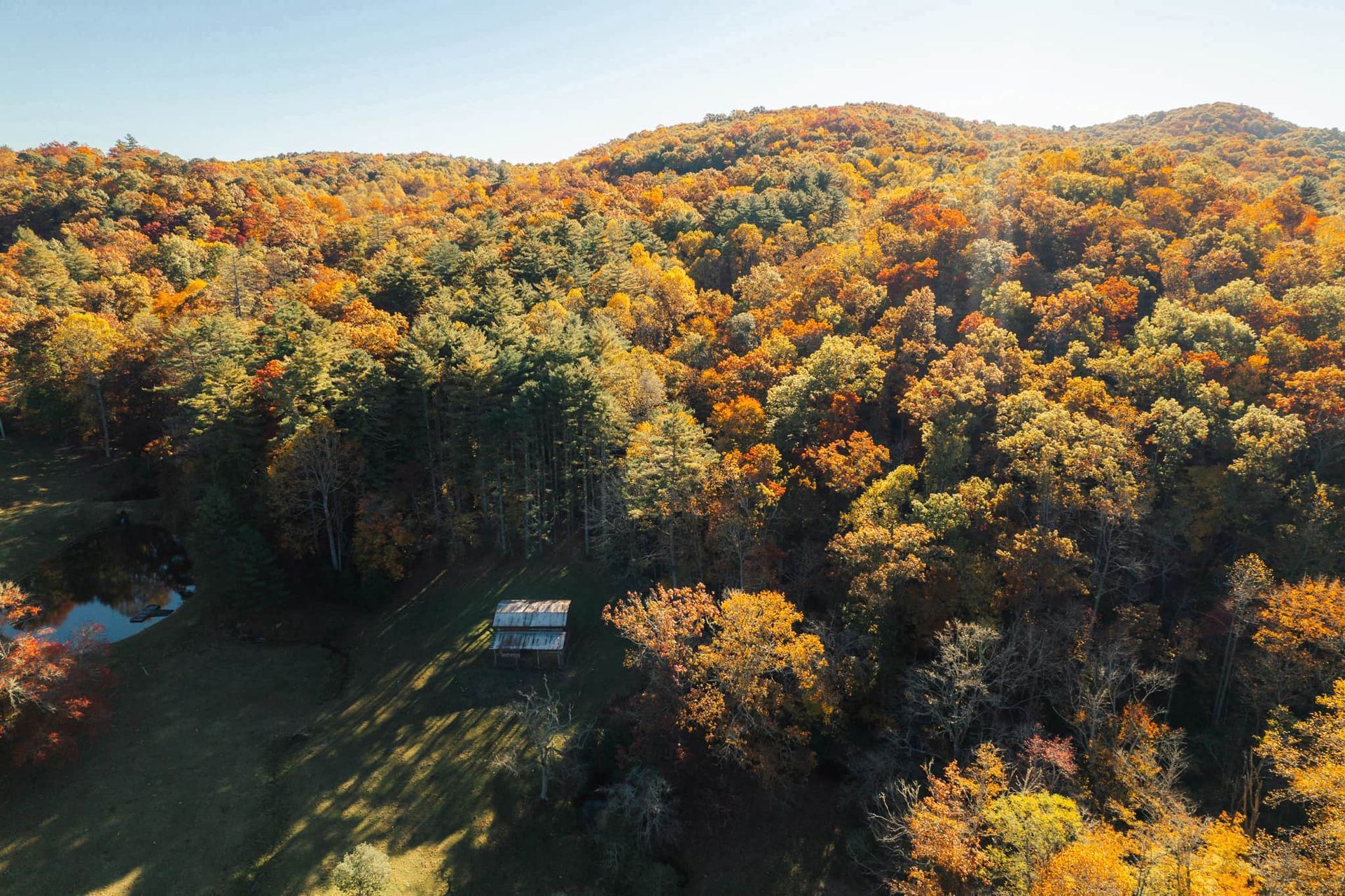 An aerial view of a house in the middle of a forest.