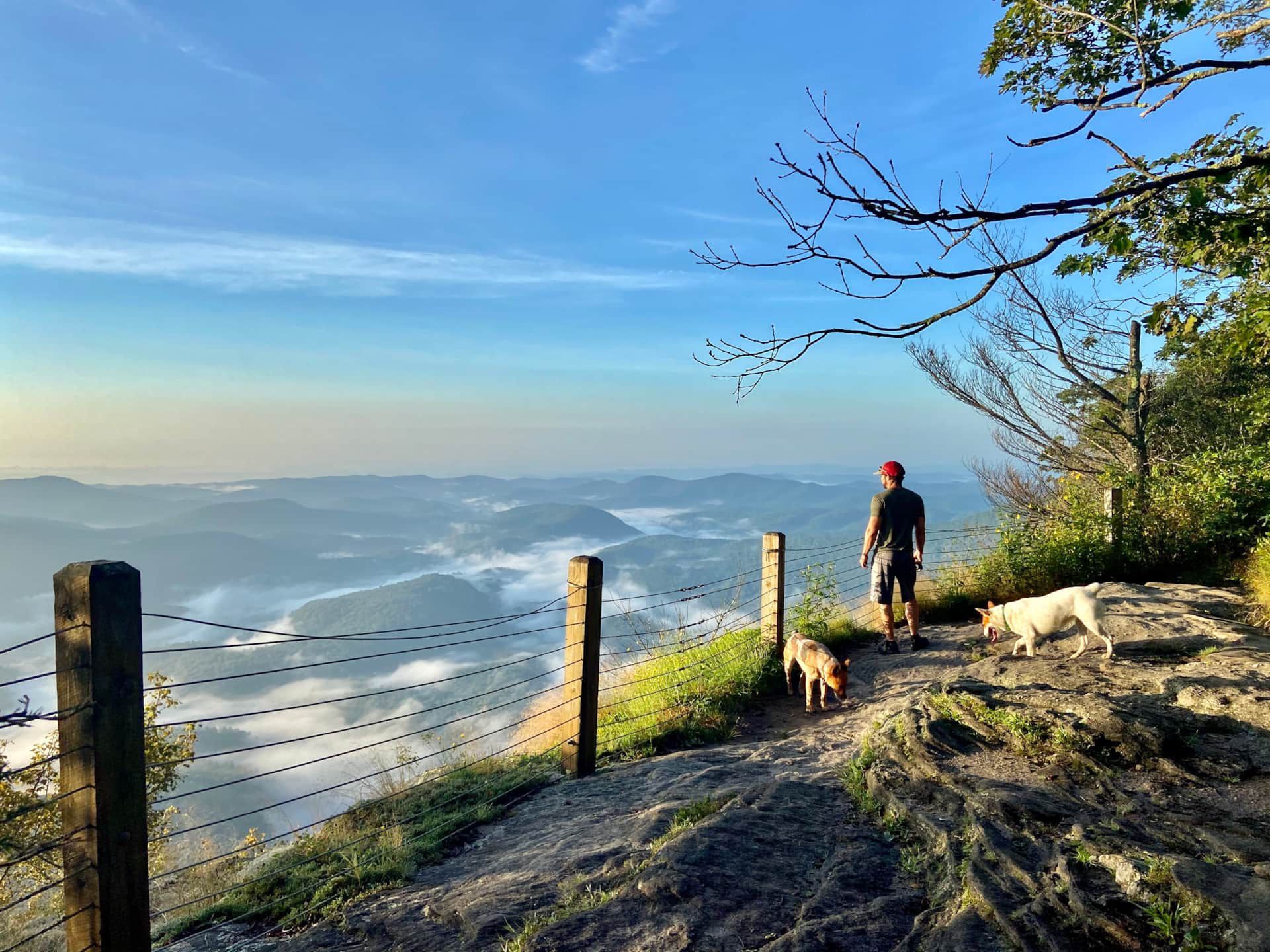 A man and two dogs are walking on a trail on top of a mountain.