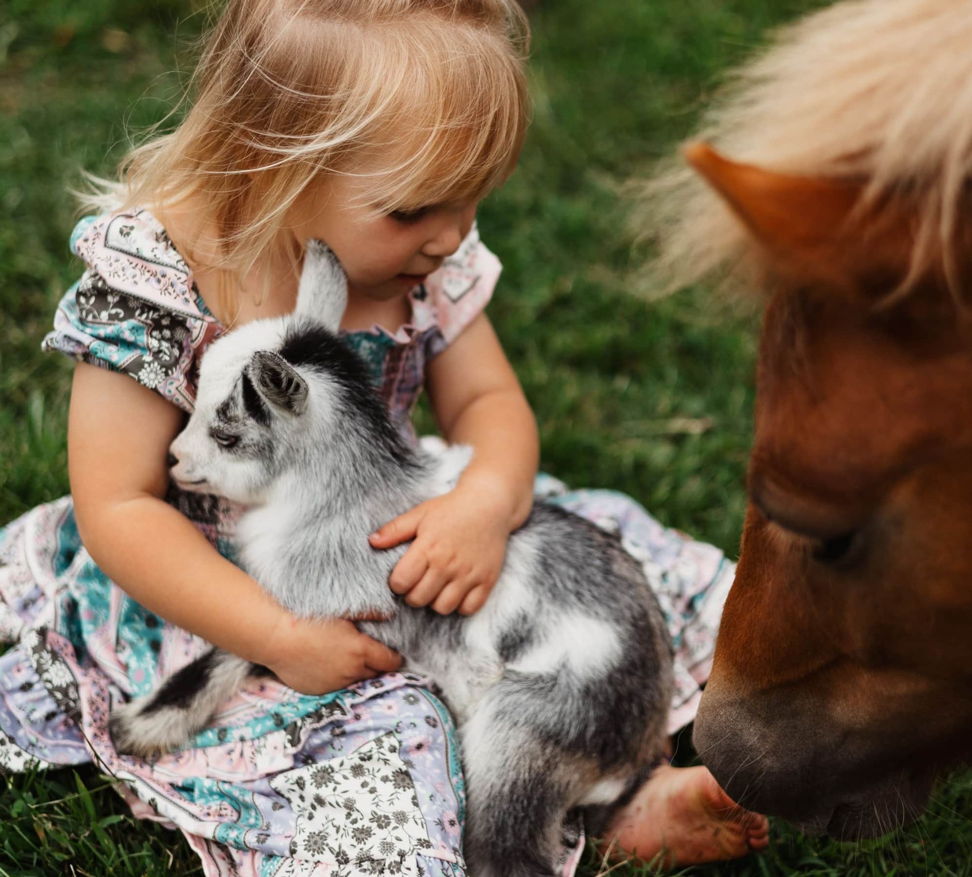 A little girl is holding a baby goat next to a pony