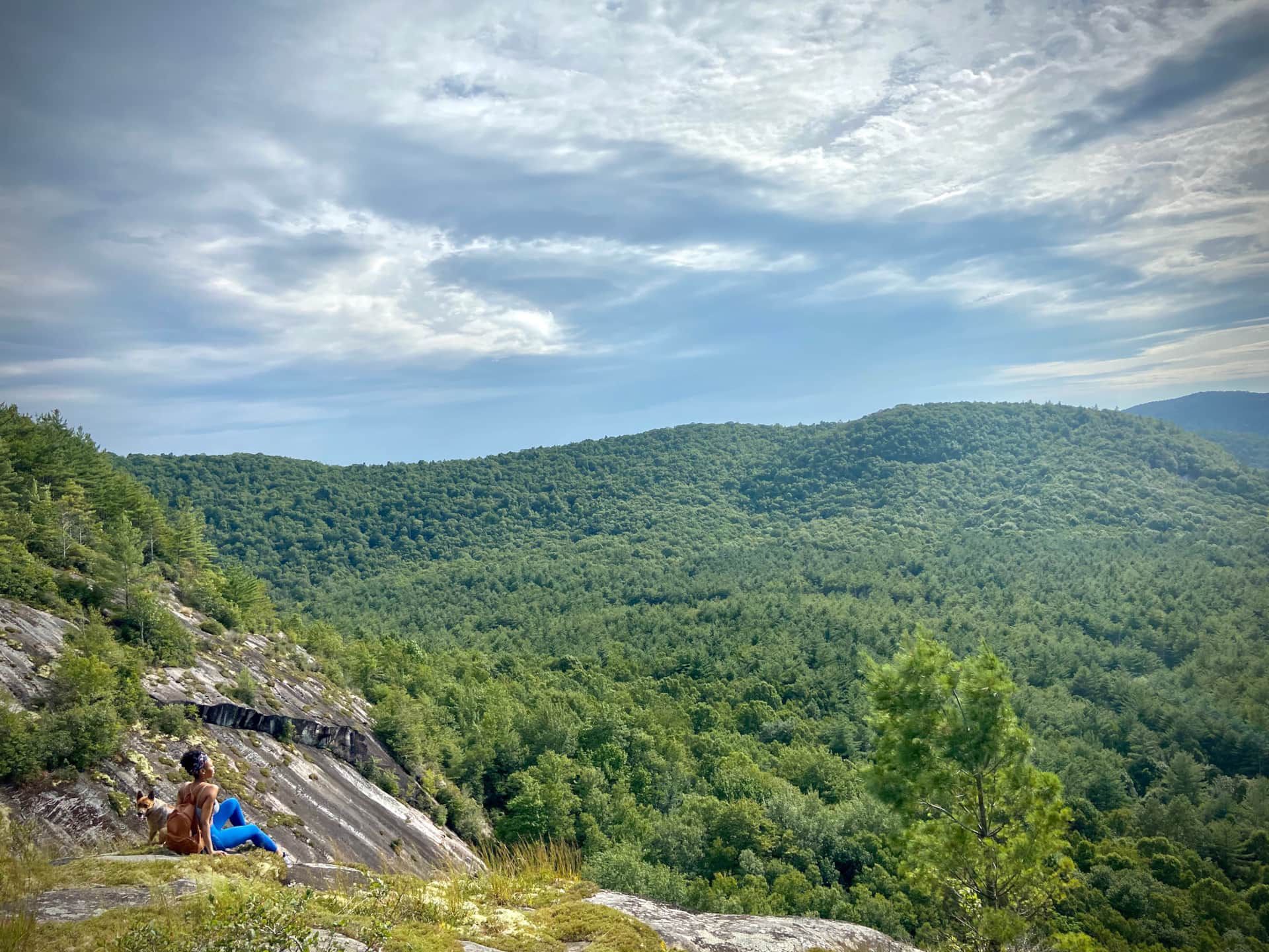 A person is sitting on top of a mountain looking out over a lush green forest.