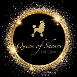 A white background with a few lines on it