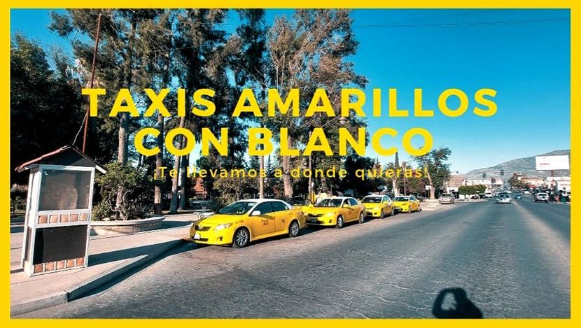 Taxis Amarillos con blanco