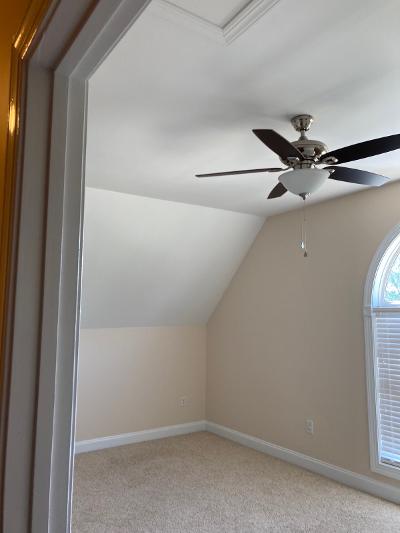 ceiling fan with light in room