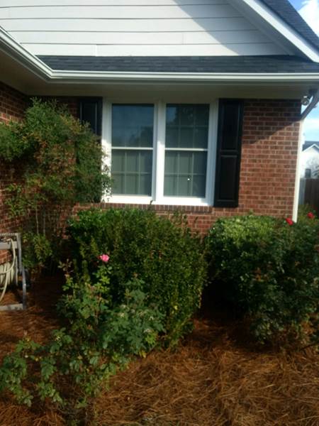 double window with black shutters