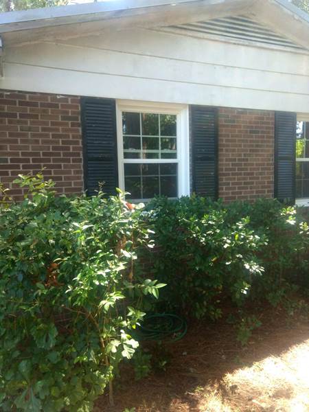 single window with black shutters on brick house