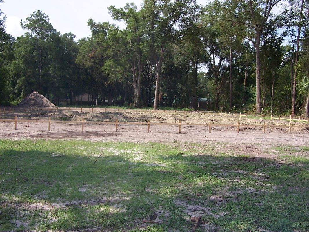 A field with a lot of grass and trees in the background