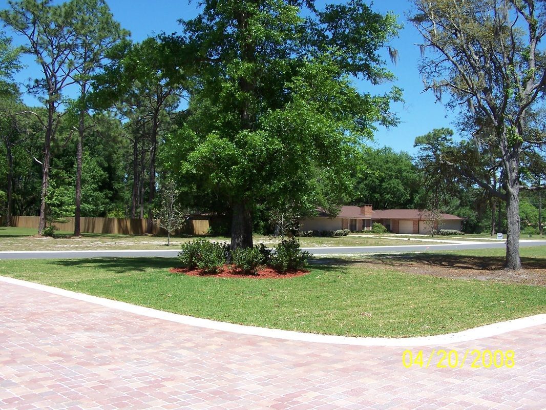 A brick driveway with a tree in the middle of it