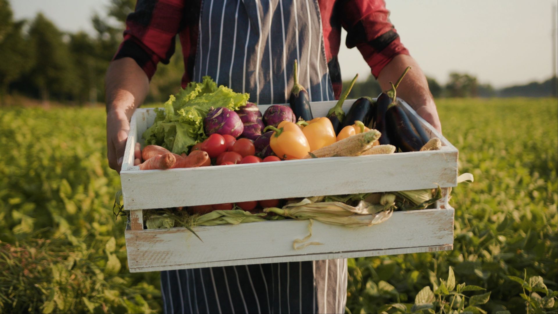 A man is holding a wooden crate filled with vegetables in a field.