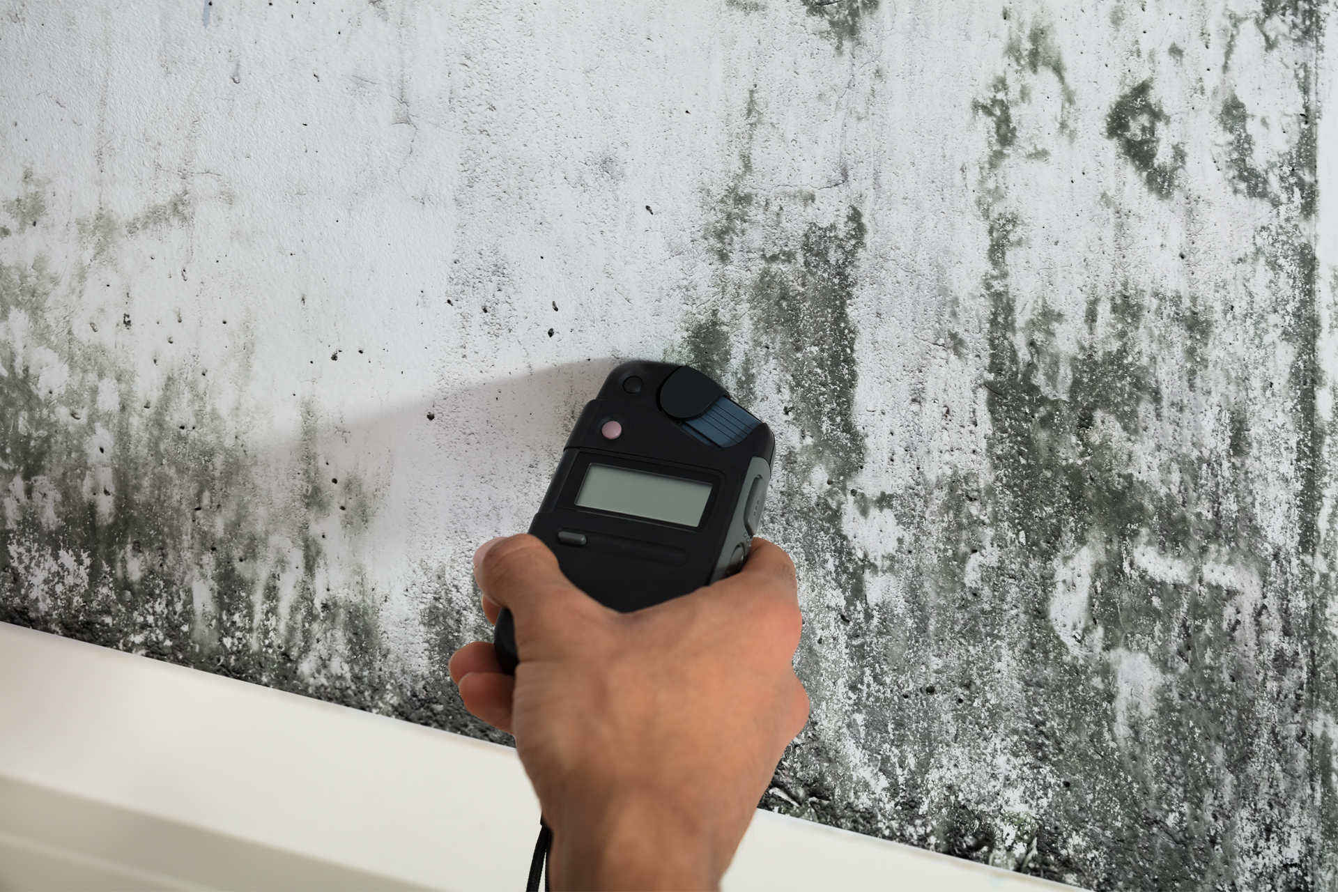 Close-up Of A Person's Hand Measuring Wetness Of Moldy Wall.