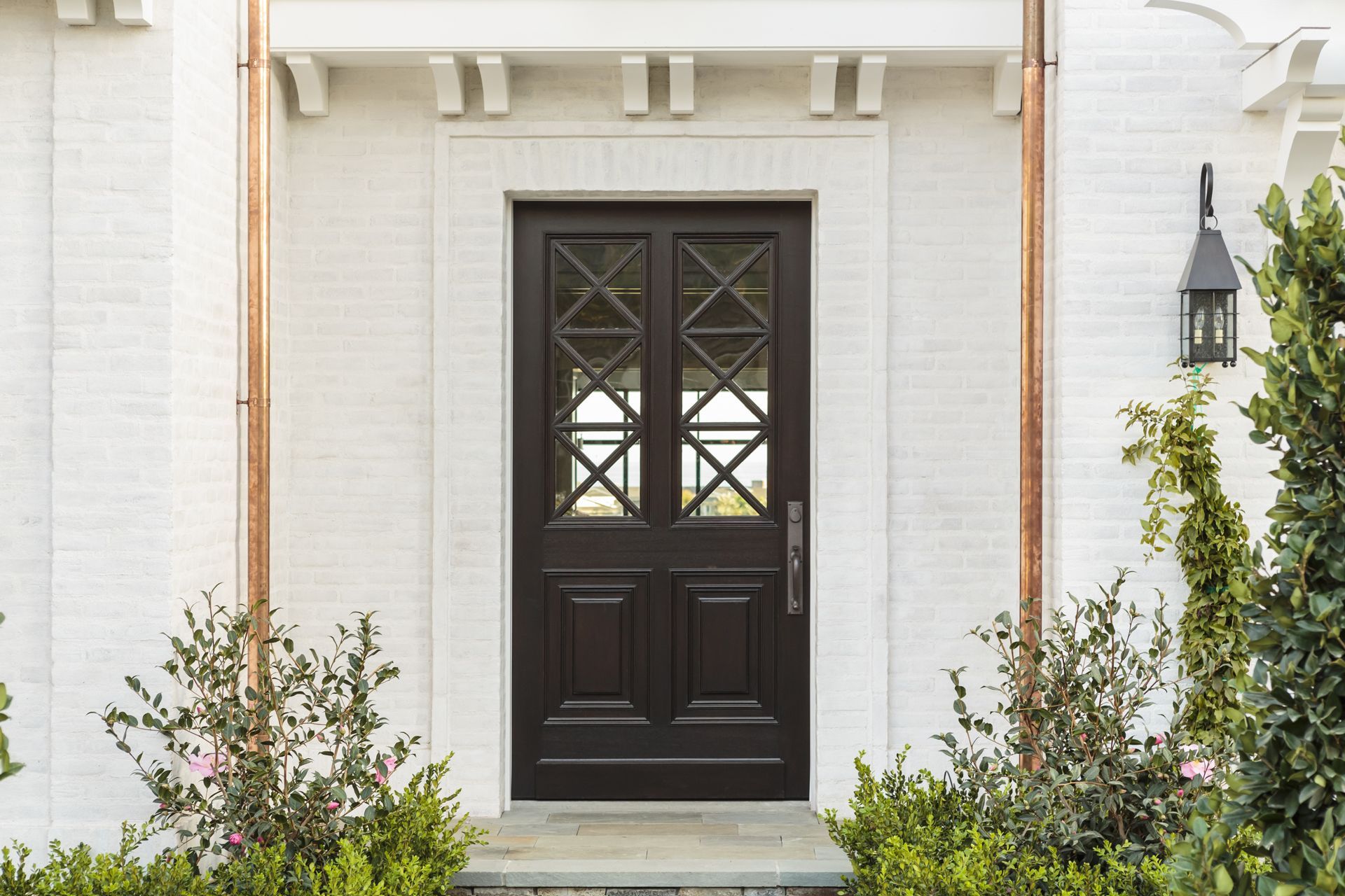 Brown front door with glass panels framed by white brick and plants.