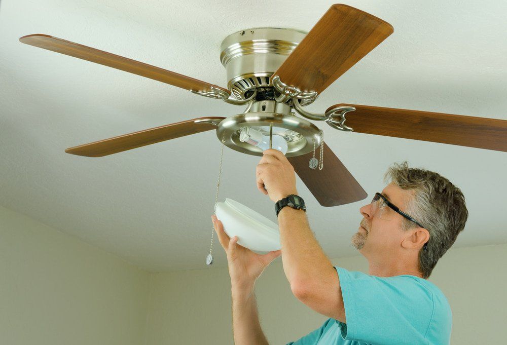 Repairing the Ceiling Fan Light — Appliance Repairs in Nowra, NSW