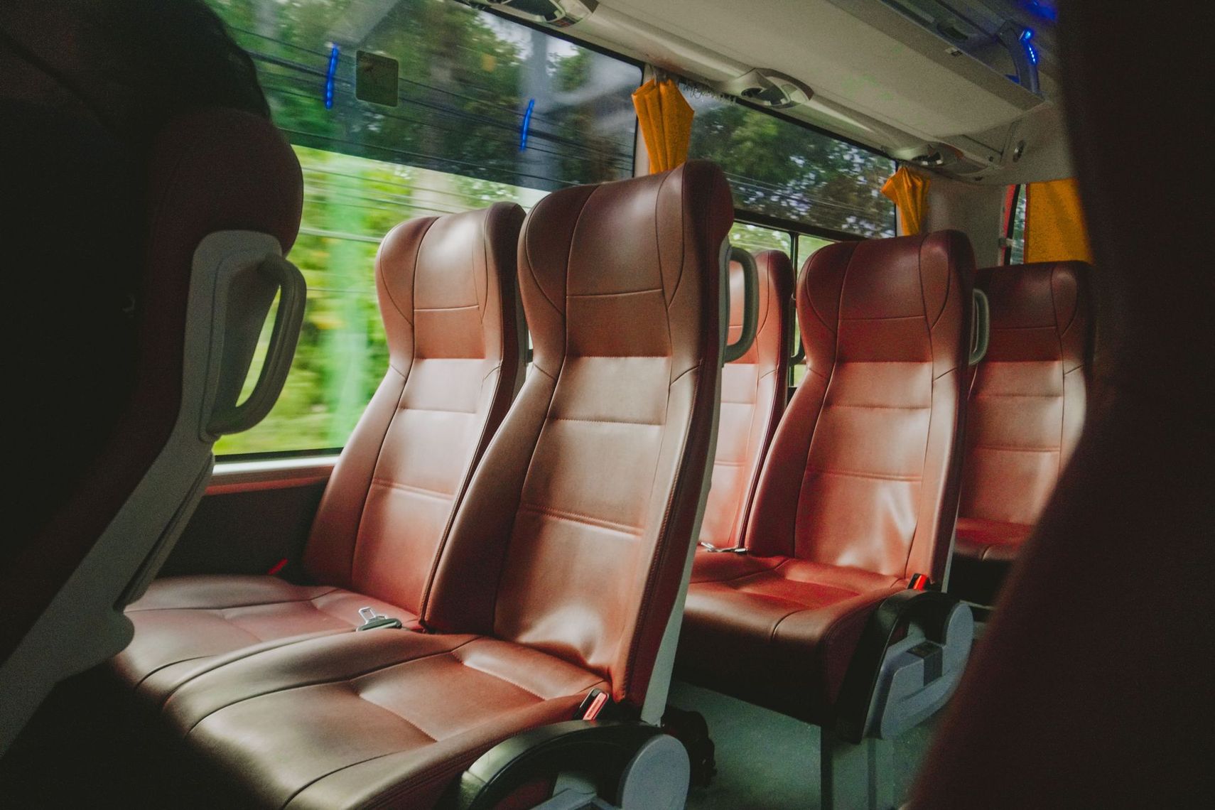 Empty bus interior with brown leather seats and large windows showing greenery outside