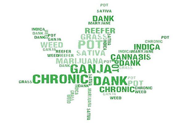 Pot, Sativa, Dank, Mary Jane, Reefer, Grass, Indica, Sativa, Ganja, Chronic, Dank, Marijuana in the shape of a cannabis leaf