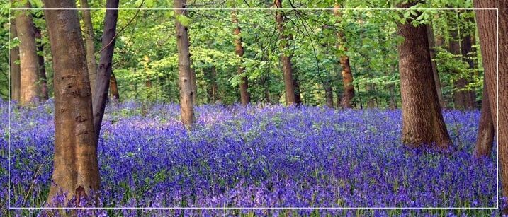 Couple relaxing at a spa, woman smiling, candles lit, white towels, soft focus.