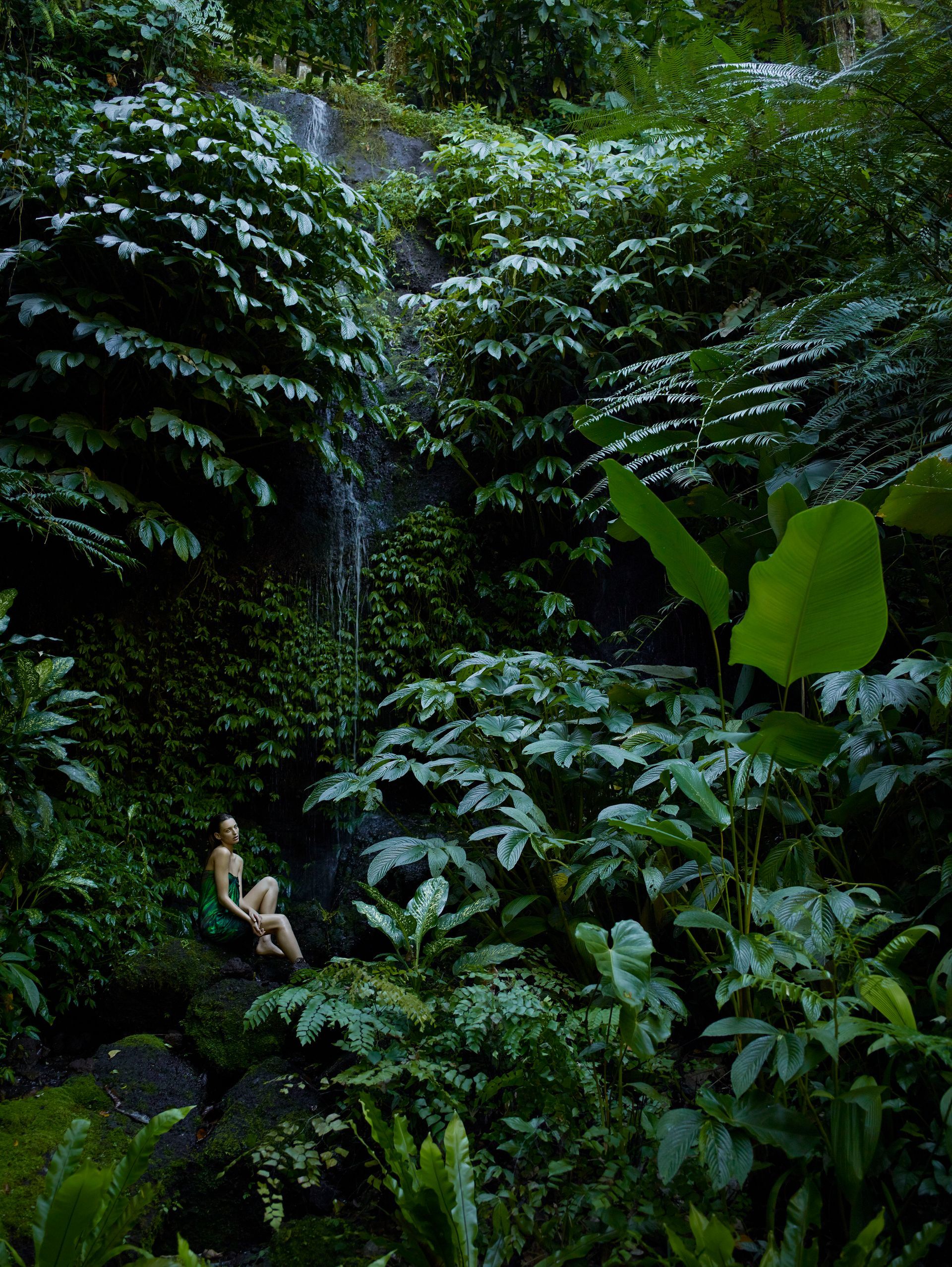 Person receiving a back massage in a dimly lit spa setting. A person's hands are massaging the other person's back.