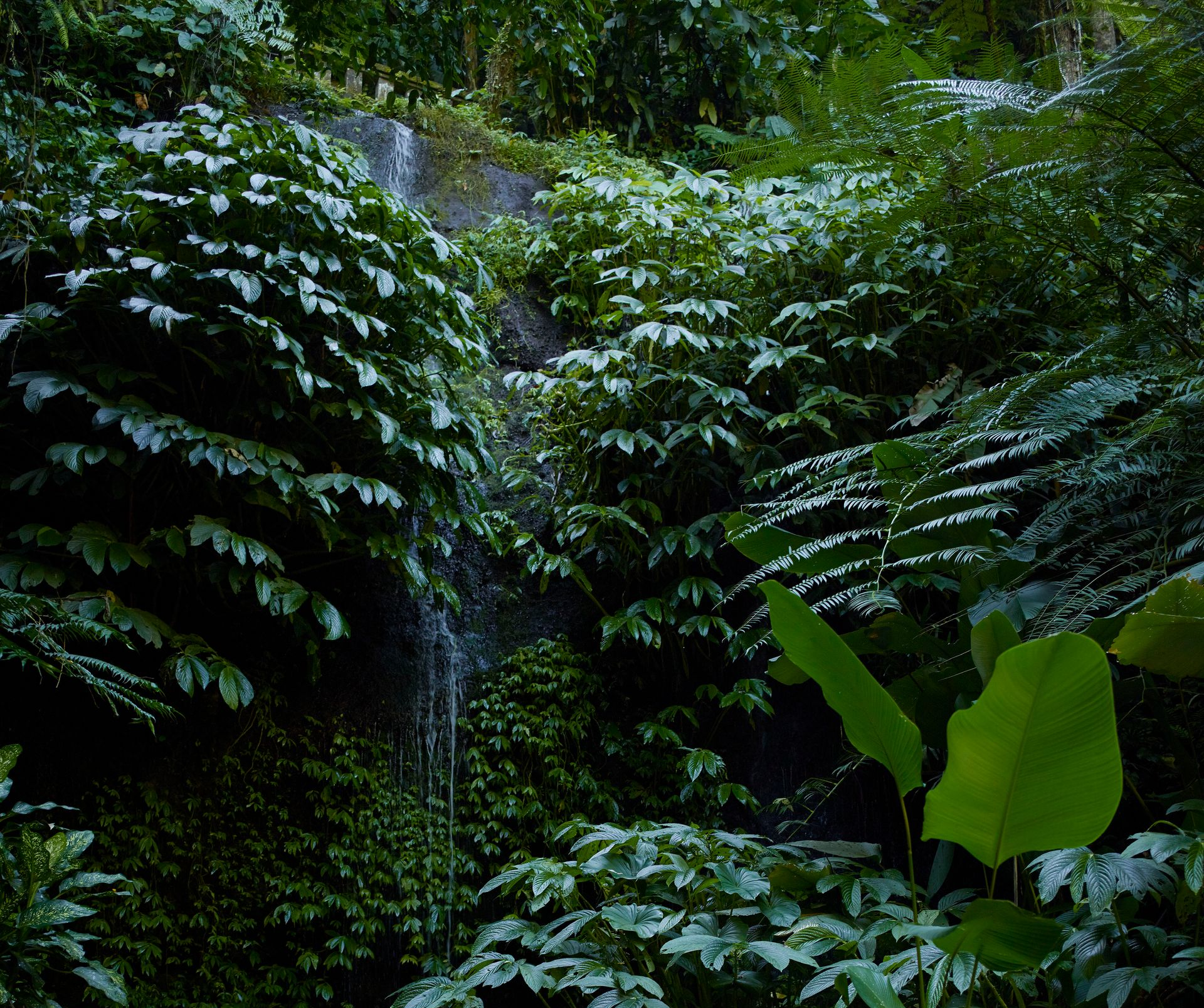 Person receiving a back massage in a dimly lit spa setting. A person's hands are massaging the other person's back.