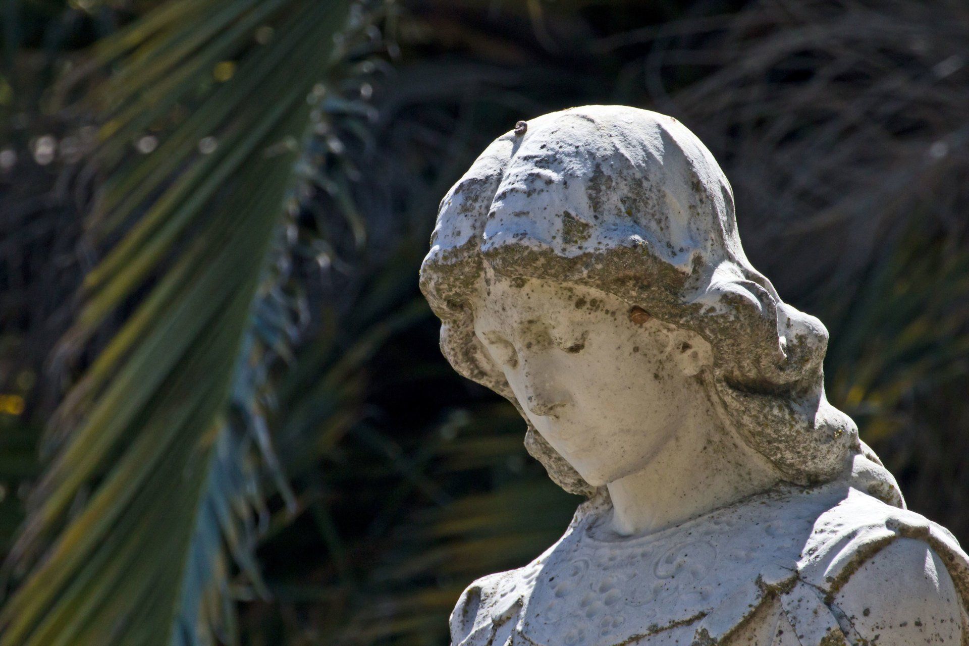 a statue of an angel with a palm tree in the background