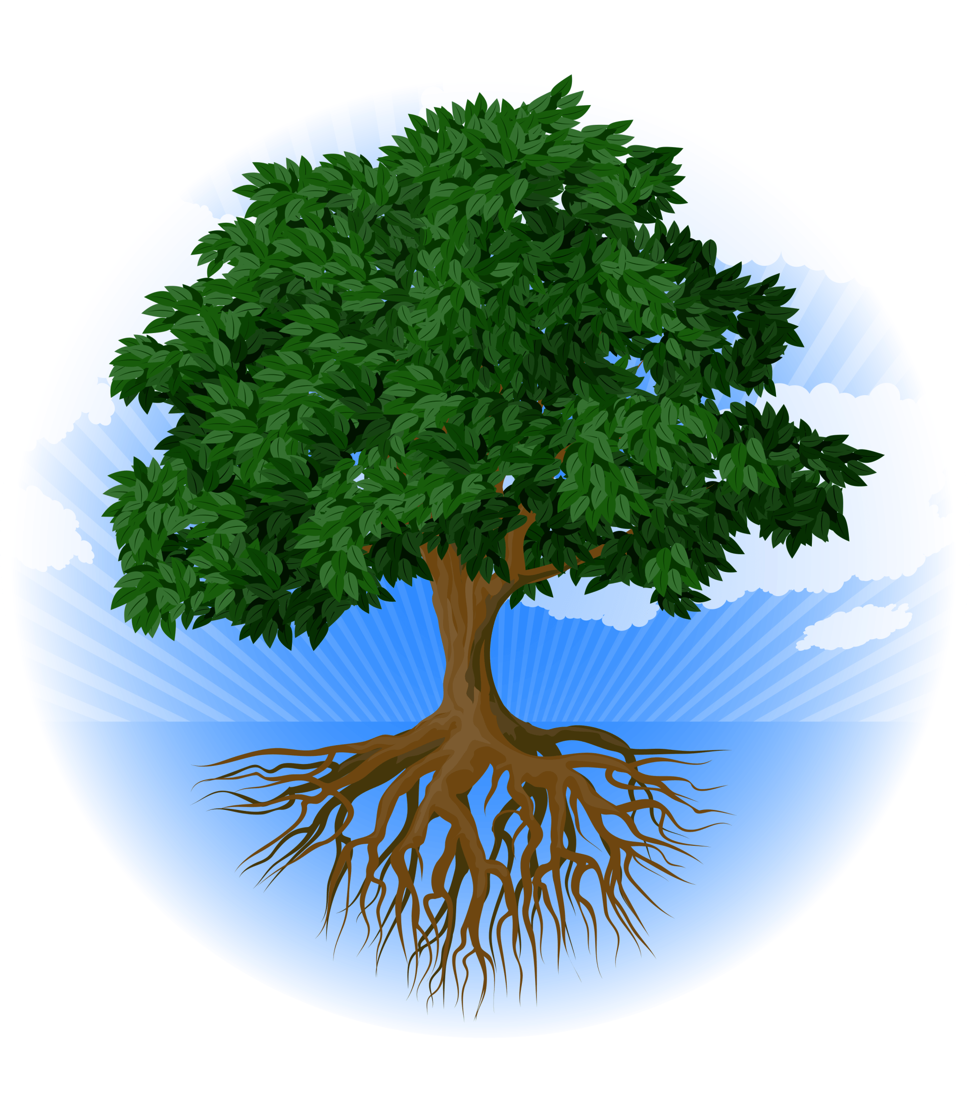 an illustration of a tree with roots showing