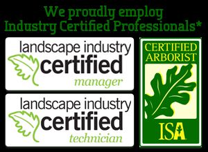 Industry certified arborist