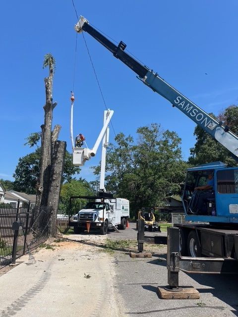 Heavy Duty Crane for Tree Trimming