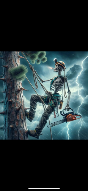 Skeleton is Climbing a Tree with a Chainsaw