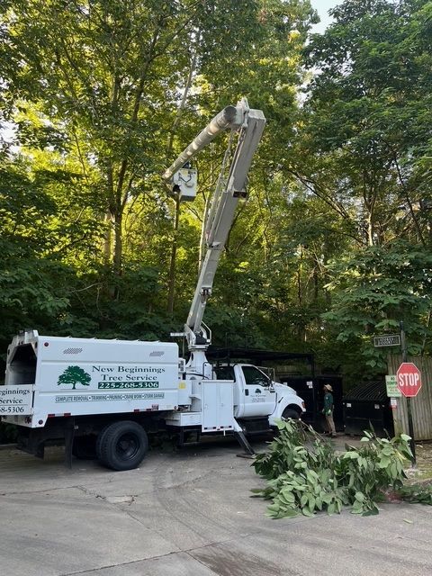 Cutting a Branches with Crane