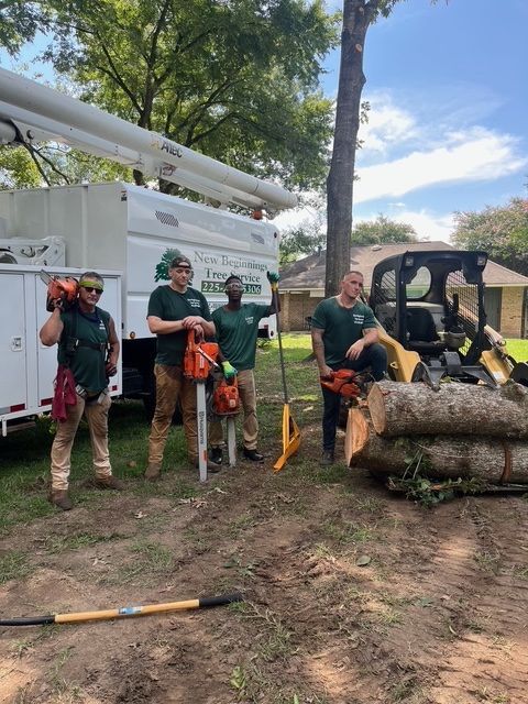 Tree Service Experts