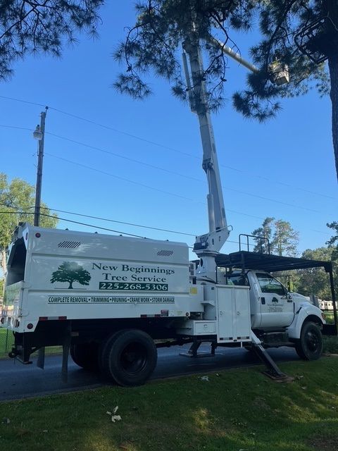 Tree Service Truck on the Side of the Road