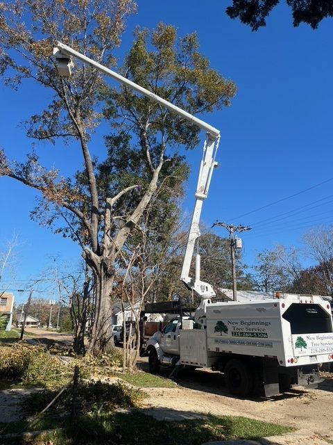 Tree Trimming Service with Crane