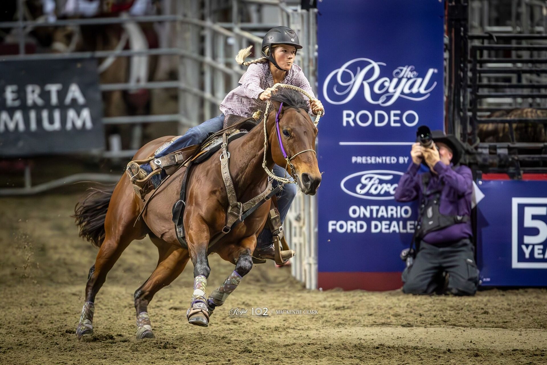 A woman on a brown horse in a rodeo. The horse runs past a photographer at a rodeo.