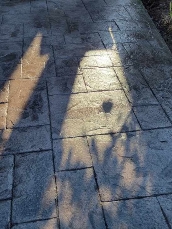 A shadow of a person is cast on a stamped cement walkway.