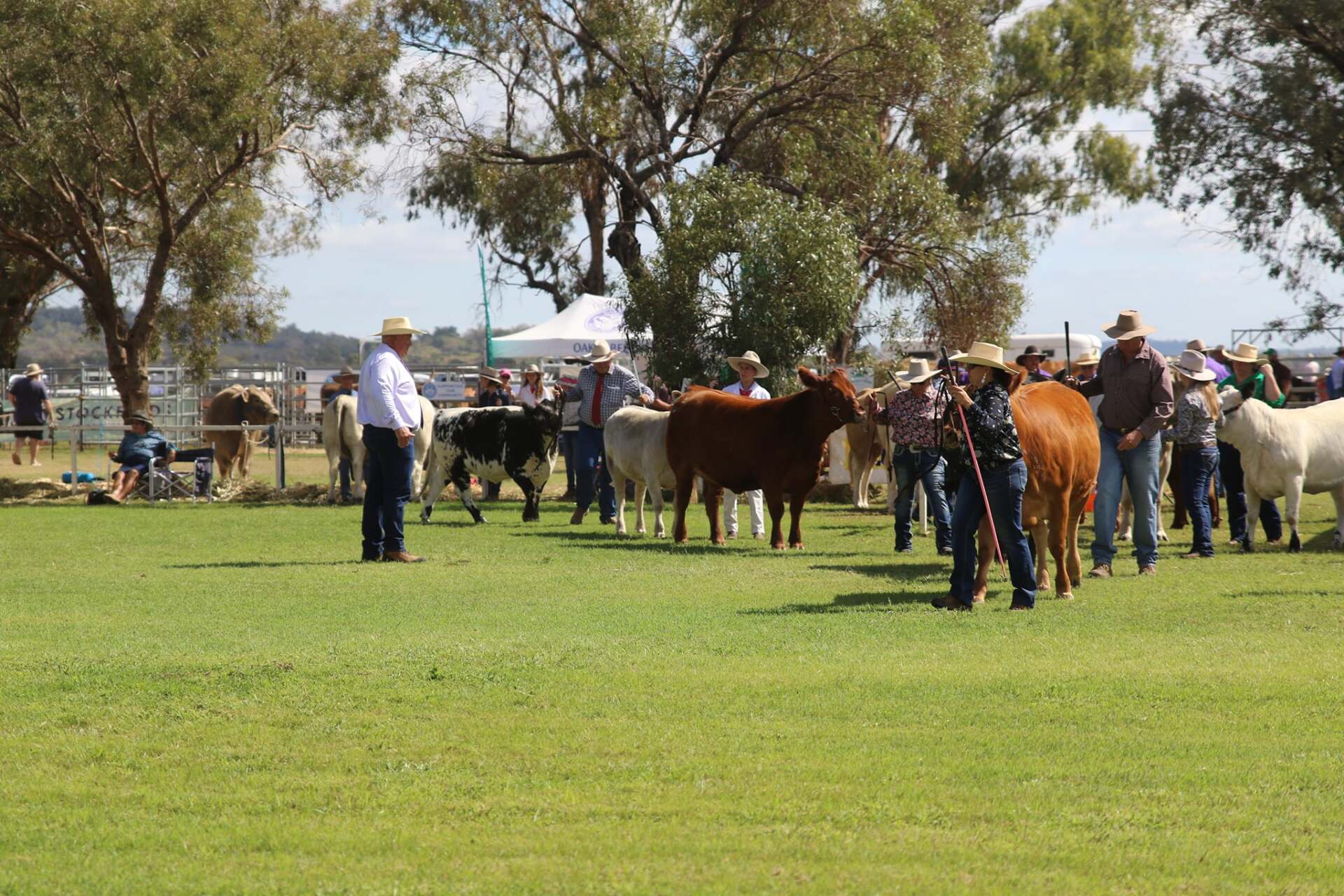 Oakey Ag & Pastoral Rodeo & Show Society