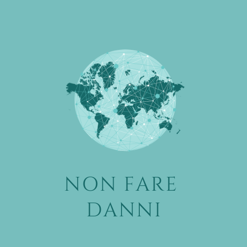 Non Fare Danni - Assemblee del Mondo