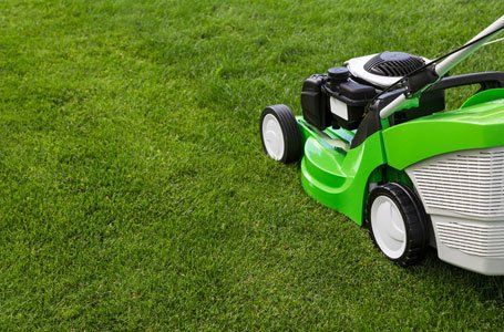 lawn mowing by reliable gardeners
