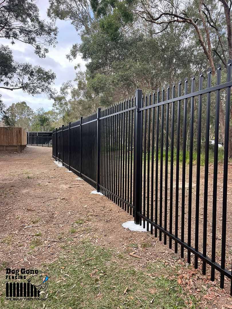 A Black Metal Fence Is Surrounded By Grass And Trees — Dog Gone Fencing in Cairns, QLD