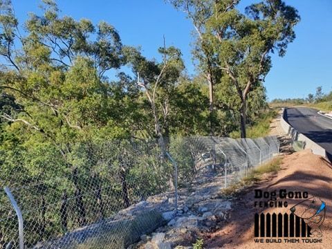 A Chain Link Fence Is Along The Side Of A Road Surrounded By Trees  — Dog Gone Fencing in Paget, QLD