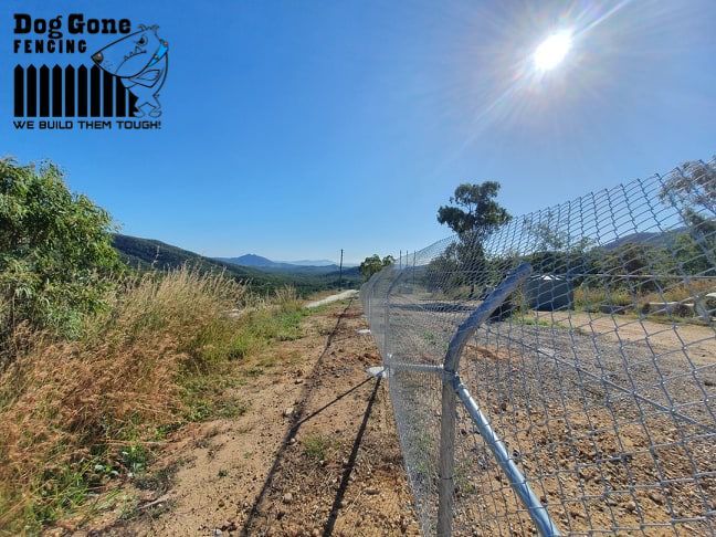 A Chain Link Fence Is Surrounding A Dirt Road  — Dog Gone Fencing in Paget, QLD