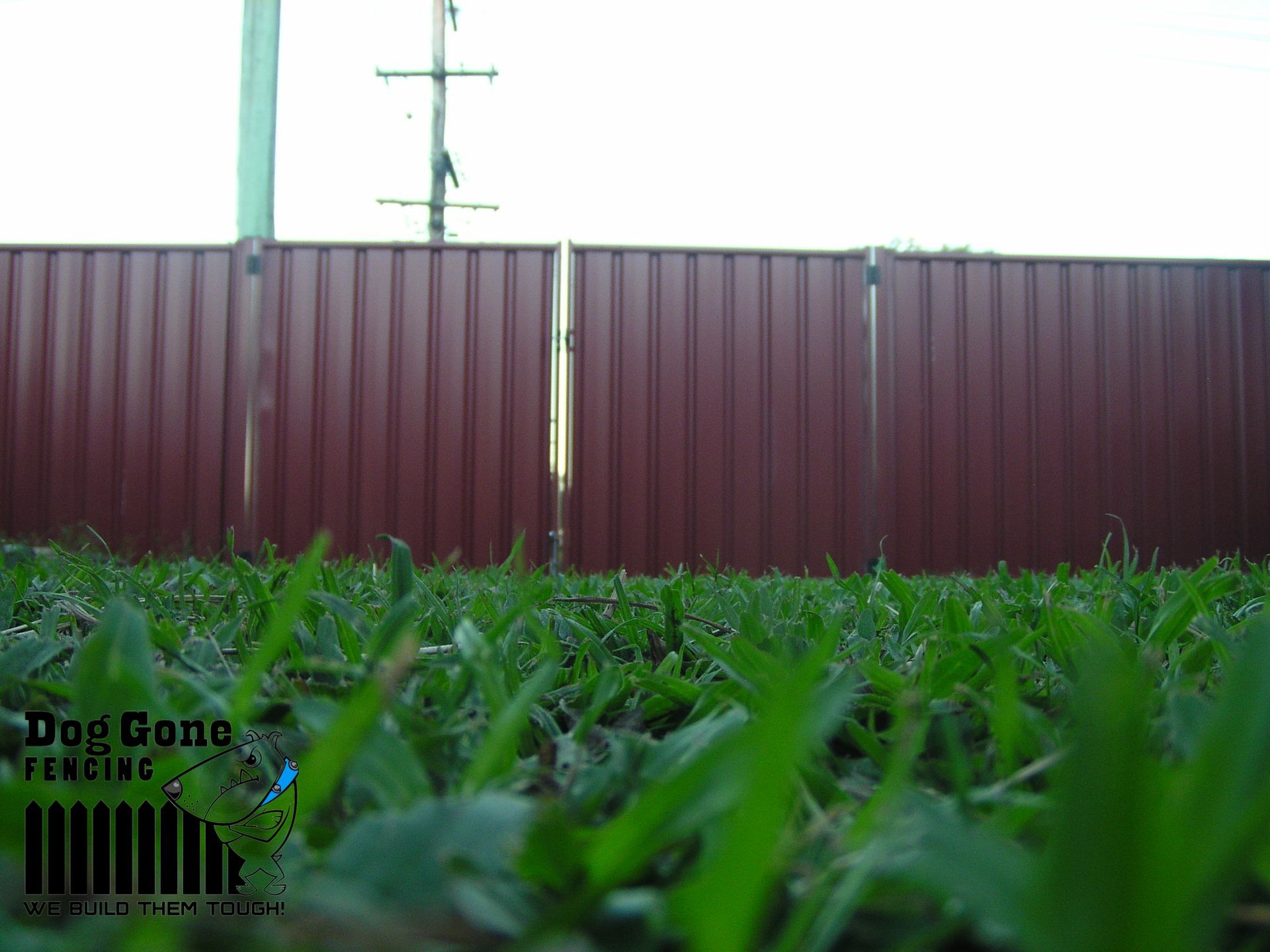 A Red Fence Is Surrounded By Green Grass — Dog Gone Fencing in Paget, QLD