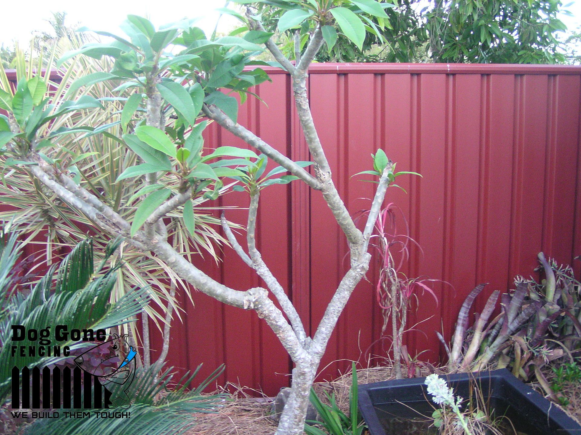 A Red Fence With A Tree In Front Of It — Dog Gone Fencing in Paget, QLD