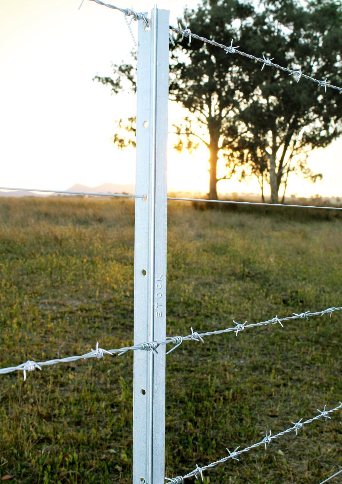 Barbed Wire Fencing Rural — Dog Gone Fencing in Paget, QLD
