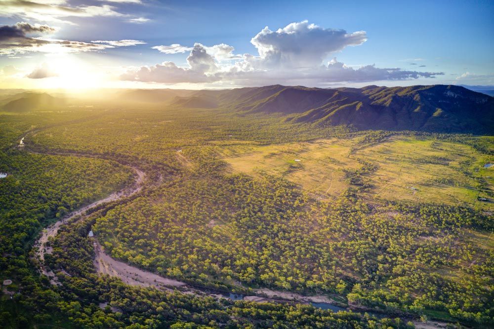 An Aerial View Of A River Running Through A Lush Green Forest — Dog Gone Fencing in Charters Towers, QLD