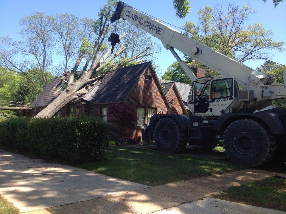 Tree Contractors Decatur, AL Jones Outdoor Services
