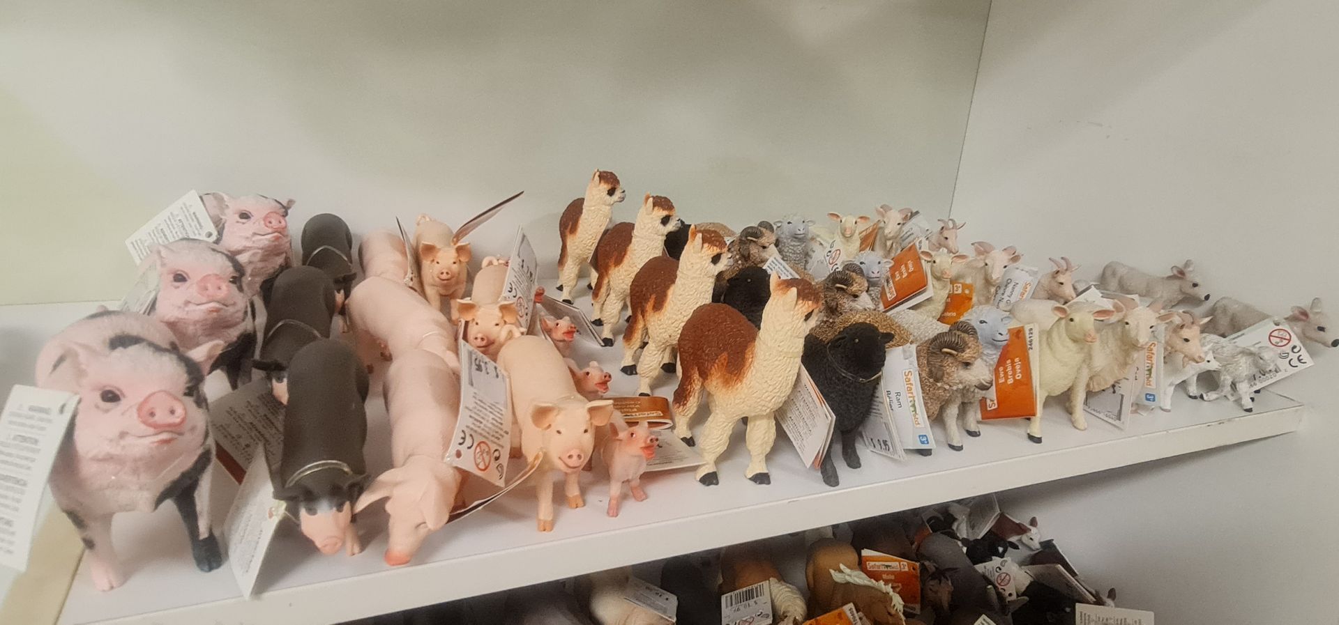 Shelf Display of Small Animal Figurines, Including Pigs — Central Western Communications in Emerald, QLD