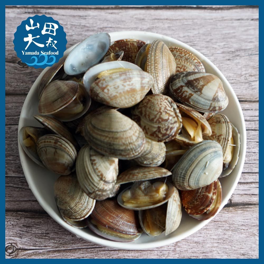 【辣炒海瓜子好吃】熟凍帶殼海瓜子