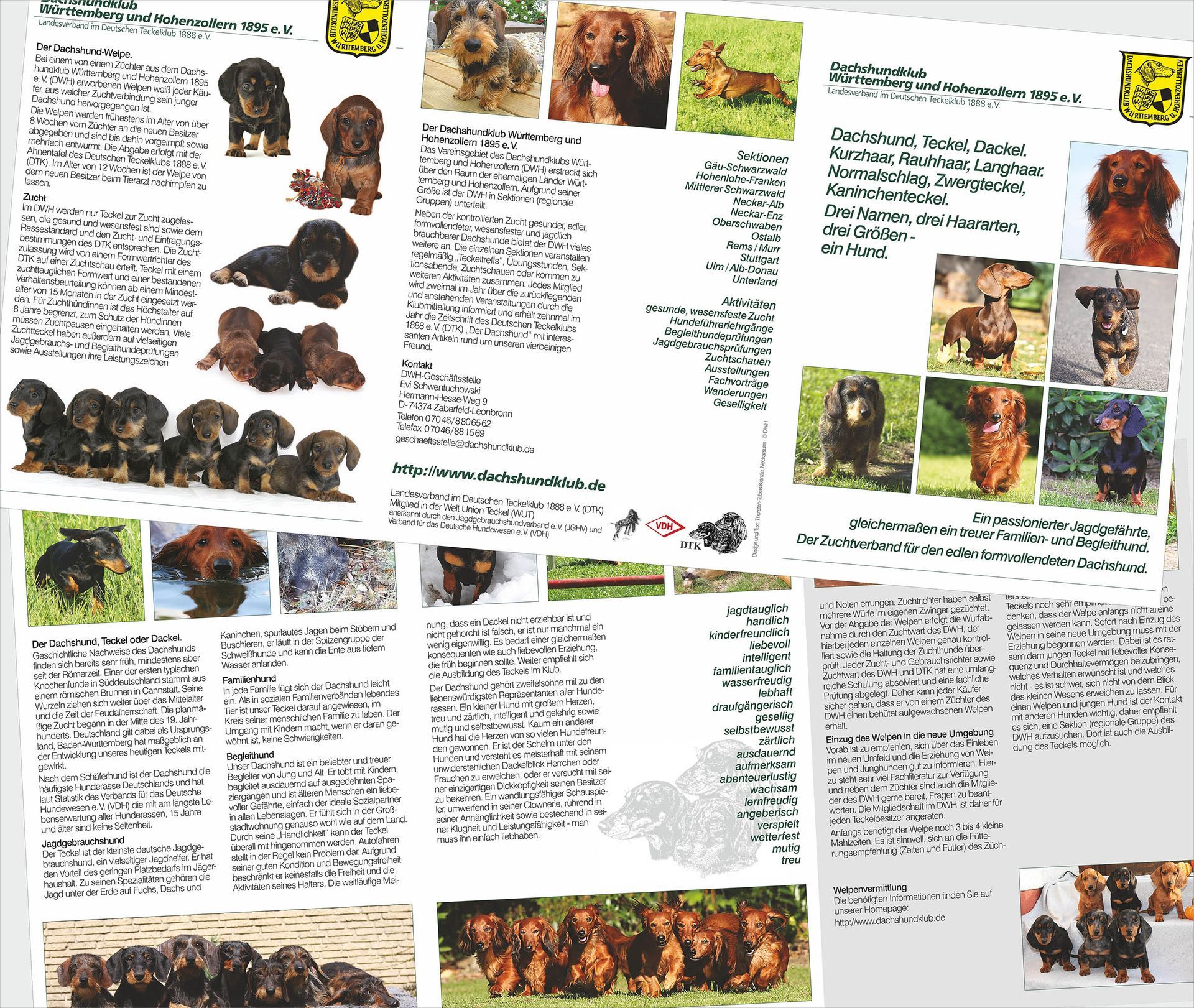 DWH - Dachshundklub Württemberg-Hohenzollern