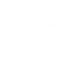 Termites Icon - Merritt Island, FL - Critter Ridders Pest Control