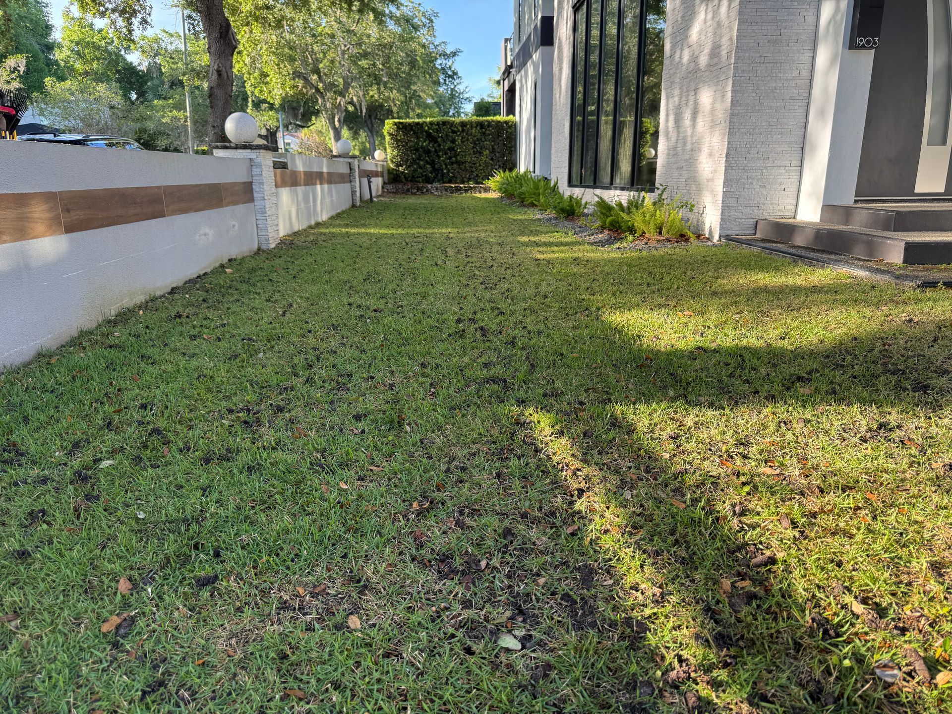 Green lawn and shrubbery in front of a white and gray modern building.