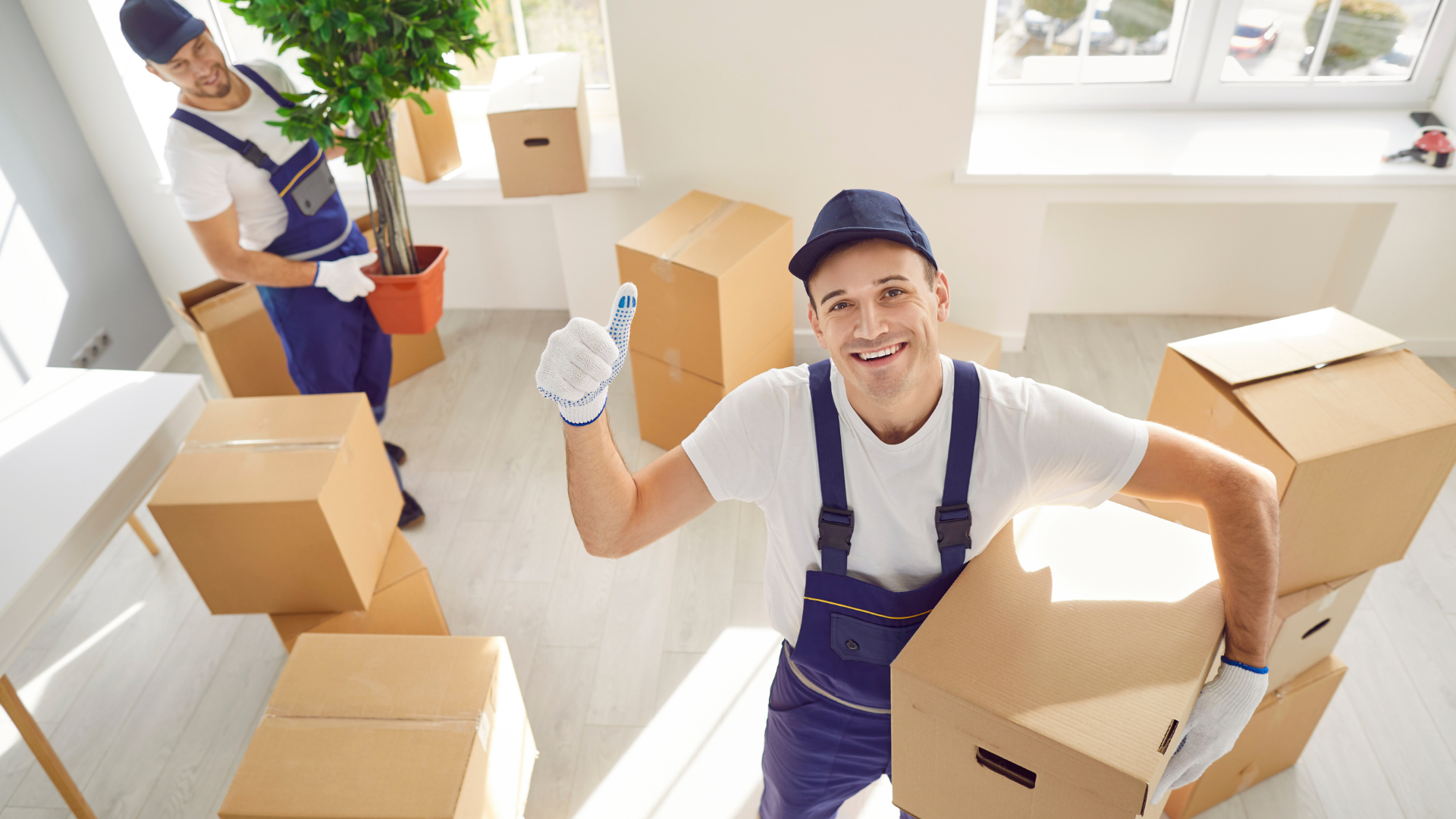 Two movers with boxes, one gives a thumbs-up. Boxes and a plant in a room with a window.