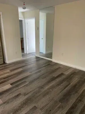 Empty room with wood-look flooring, cream-colored walls, and a large mirror. A doorway leads to another room.