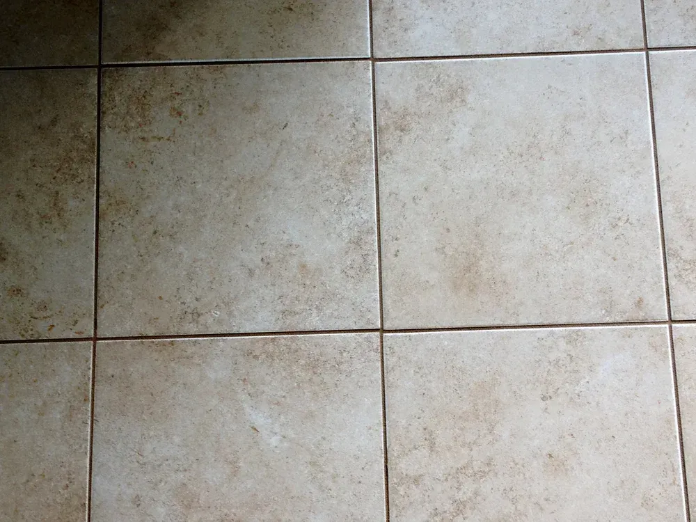 Beige square floor tiles with dark grout.